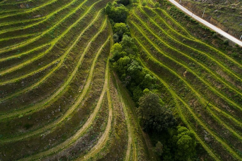 Agroturismo Vila Gale Douro Vineyards Hotel