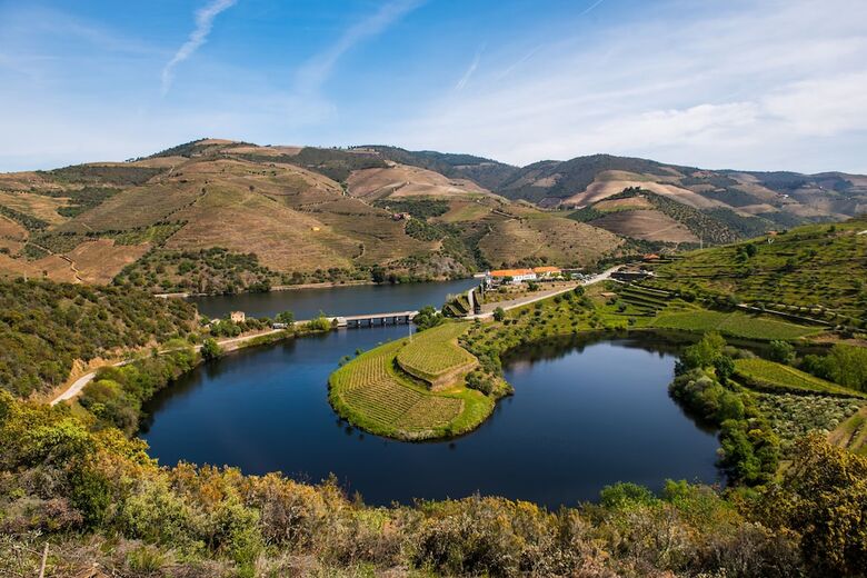 Agroturismo Vila Gale Douro Vineyards Hotel