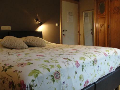 B&B Hedera