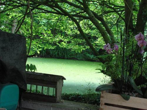 B&B Hedera