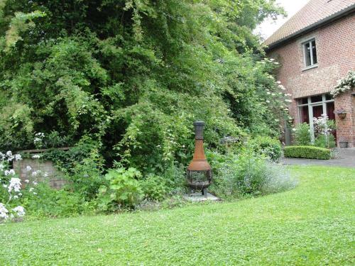 B&B Hedera
