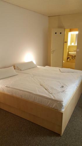 Hostal Hotel Spilburg