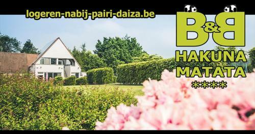 B&B Hakuna Matata