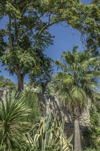 Bed & Breakfast La Dimora Di Samu