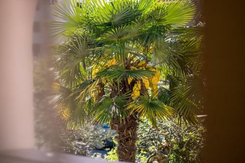 Apartamentos Villa Palma