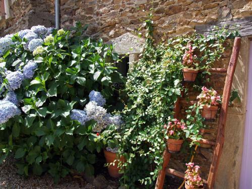 Bed & Breakfast Domaine De Lasfonds