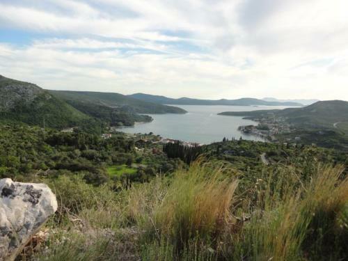 Hostal Guest House Pavkovic