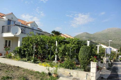 Hostal Guest House Pavkovic