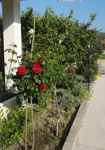 Hostal Guest House Pavkovic