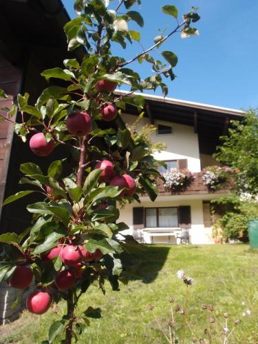 Apartamento Haus Patria