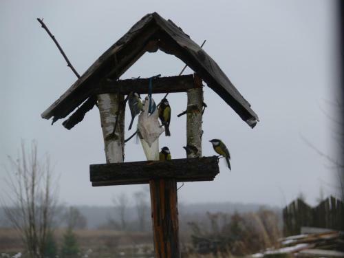 Hostal Kalski Dworek