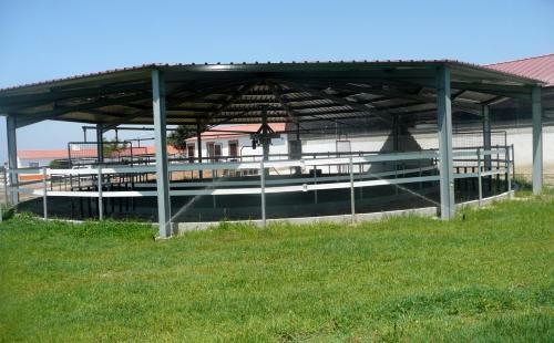 Agroturismo Setequintas