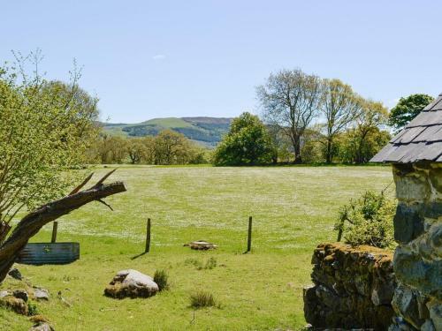 Hen Hafod