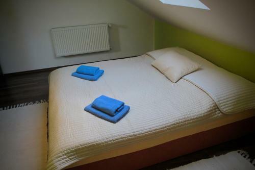 Hostal Ubytovani Nikol