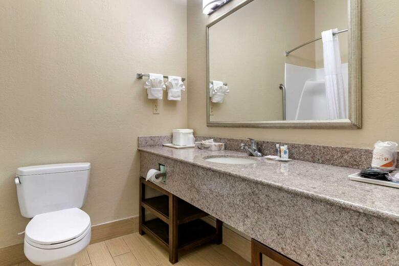 Hotel Comfort Inn & Suites Statesboro