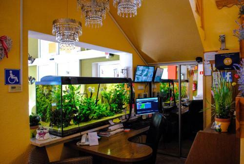Hotel Krak