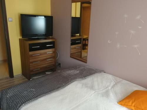 Apartament Arkado