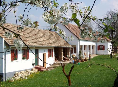 Apartamento K�rte Porta