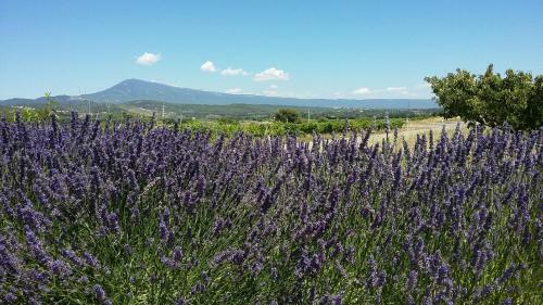 Bed & Breakfast La Dentelli�re