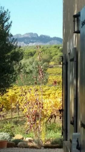 Bed & Breakfast La Dentelli�re