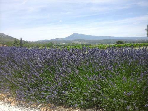 Bed & Breakfast La Dentelli�re