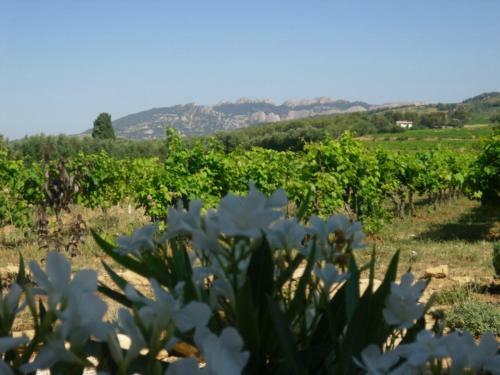 Bed & Breakfast La Dentelli�re