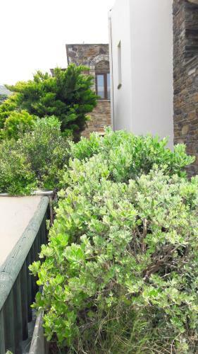 Apartamento Althea Archontika Tis Androu