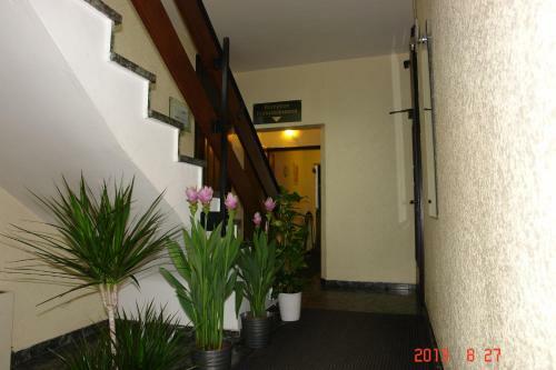 Hotel Birkeneck