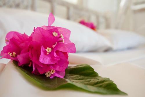 Apartamento Swordfish Villas