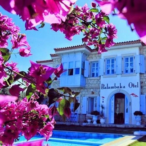 Balambaka Hotel