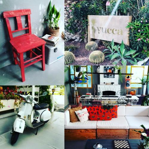 Hostal Yucca Pension