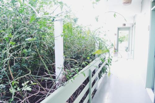 Hostal Yucca Pension