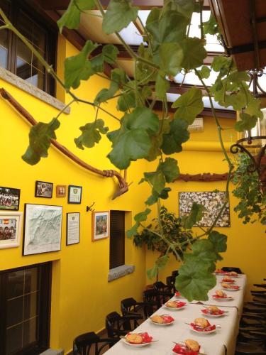 Hotel El Color�n
