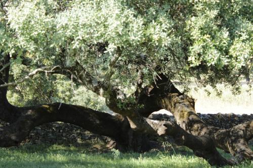 Casa Rural El Tejar