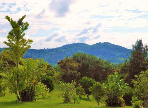 Hotel Finca El Cielo