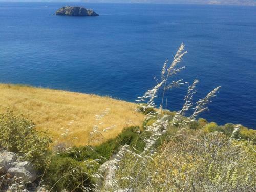 Hostal Andrea Pension