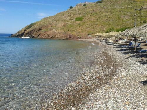 Hostal Andrea Pension