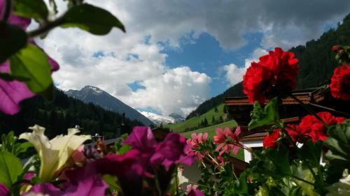 Apartamento Sch�nblick Appartements