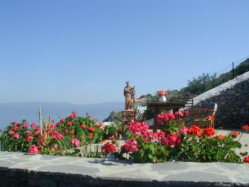 Villa Hydra Erato
