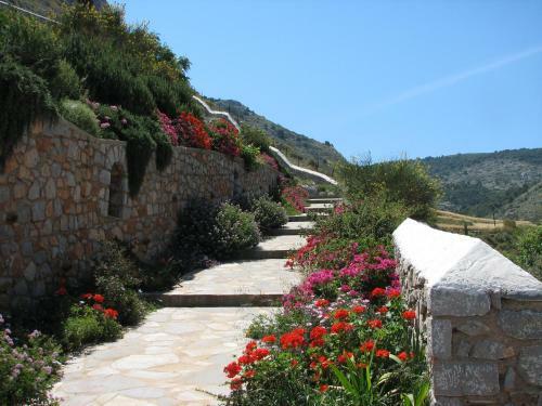 Villa Hydra Erato