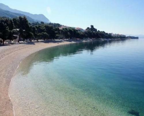 Hostal House Villa Roza