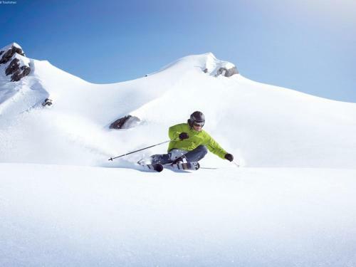Chalet Cervus Zell Am See