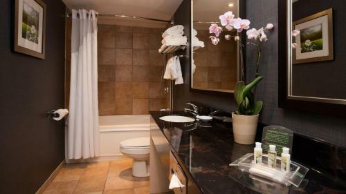Holiday Inn Hotel & Suites Mississauga