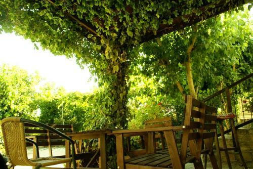 Posada Loxandra Inn