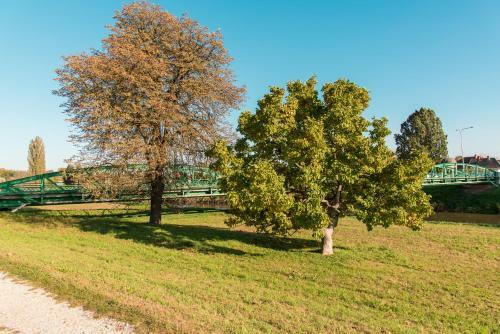 Hostal Hal�szcs�rda-panzi�
