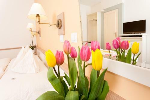 Hostal F�bi�n Panzi�