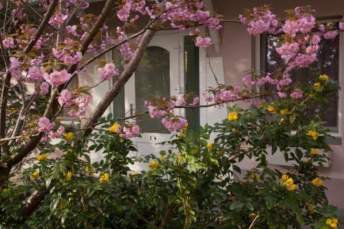 Hostal F�bi�n Panzi�