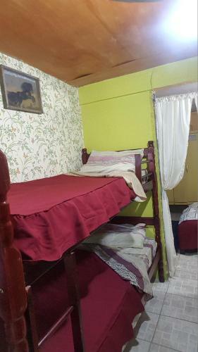 Petit Hostel Carolina