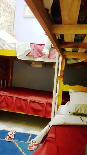 Petit Hostel Carolina