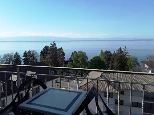 Hotel H�tel Evian Express - Terminus